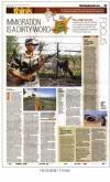 Tearsheet-26