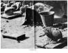 Tearsheet-10